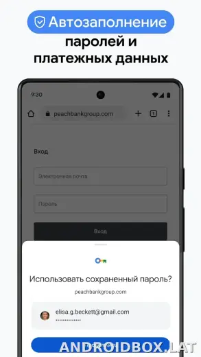 Google Chrome скриншот 6