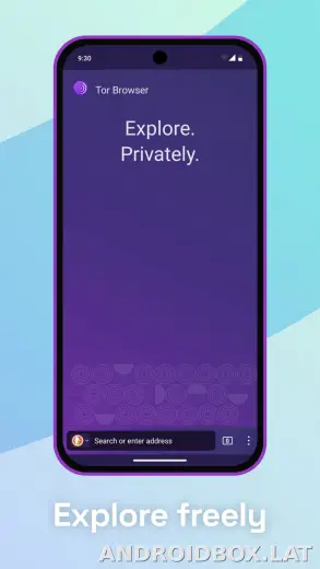 Tor Browser скриншот 5